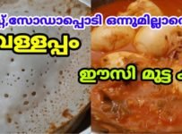 സോഡാപ്പൊടി,യീസ്റ്റ് ഒന്നുമില്ലാതെ സോഫ്റ്റ് വെള്ളപ്പവും ഈസി മുട്ട കറിയും