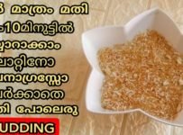 വെറും 10 മിനിറ്റിൽ തയ്യാറാക്കാം വായിലിട്ടാൽ അലിഞ്ഞു പോകുന്ന ഒരു പുഡിങ് ഉണ്ടാക്കാൻ വെറും പാല് മാത്രം മതി ജലാറ്റിൻ ചൈനാഗ്രാസ് ഒന്നും ആവശ്യമില്ല… പെട്ടെന്ന് വരുന്ന വിരുന്നുകാർ പെട്ടെന്നുള്ള പാർട്ടിക്കും തയ്യാറാക്കാൻ ഒരു കിടിലൻ പുഡ്ഡിംഗ്