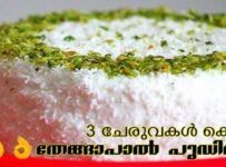 3 ചേരുവകൾ കൊണ്ട് മഞ്ഞു പോലൊരു തേങ്ങാ പാൽ പുഡിങ്