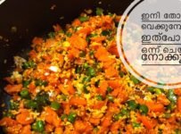 തോരൻ ഇനി ഇത്പോലെ ഒന്ന് വെച്ച് നോക്കു …