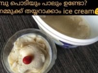 ഗോതമ്പു പൊടിയും പാലും കൊണ്ട് മിക്സിയിൽ അടിപൊളി വാനില ice cream