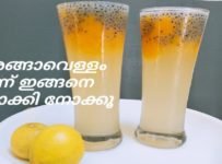 നാരങ്ങാവെള്ളം ഒന്ന് ഇങ്ങനെ ഉണ്ടാക്കി നോക്കൂ