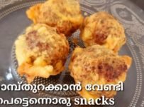 നോമ്പിൽ ഞങ്ങളുടെ വീട്ടിൽ പെട്ടെന്ന് ചിലവാകുന്ന snacks