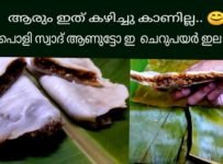 ചെറുപയർ കൊണ്ട് ഉണ്ടാക്കിയ ഇല അട, നല്ല സൂപ്പർ ടേസ്റ്റ്