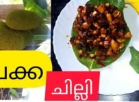 അധികം വിളയാത്ത ചക്ക കൊണ്ടു ഒരു ചില്ലി ചക്ക