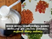 ദോശ മാവും വെജിറ്റബിളും ഉണ്ടോ അടിപൊളി ഈ പലഹാരം ഉണ്ടാക്കാം. കുട്ടികൾ വീണ്ടും കഴിക്കും
