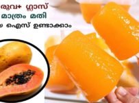 വെറും 2 ചേരുവ മാത്രം മതി? പപ്പായ ഐസ് വളരെ പെട്ടെന്ന് ഉണ്ടാക്കാം