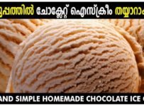 കുട്ടികളെ കൊതിപ്പിക്കും ചോക്ലേറ്റ് ഐസ്ക്രീം എളുപ്പത്തിൽ തയ്യാറാക്കാം