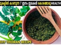 വീട്ടു വളപ്പുകളിൽ കാണുന്ന 7 ഇനം ഇലകൾ കൊണ്ടൊരു ഹെൽത്തി തോരൻ ഉണ്ടാക്കിയാലോ? ഈ പ്രതിസന്ധി വേളയിൽ ഇതൊക്കെ യാണ് ഉപകരിക്കുക. പരീക്ഷിച്ചു നോക്കൂ