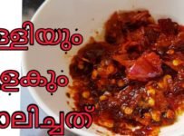 ഈ ഒരു കറി മതി ചോറ് തീരുന്നത് അറിയില്ല //ഉള്ളിയും മുളകും ചാലിച്ചത്