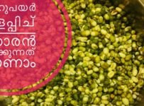 ചെറുപയർ മുളപ്പിച് തോരൻ വെക്കുന്നത് കാണാം
