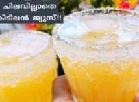 ഇത് ഒരേയൊരു ഗ്ലാസ് മാത്രം മതി ദാഹവും ക്ഷീണവും മാറാൻ
