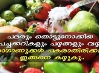 പലരും തൊട്ടുനോക്കിയ പച്ചക്കറികളും പഴങ്ങളും വഴി രോഗാണുക്കൾ പകരാതിരിക്കാൻ ഇങ്ങനെ കഴുകൂ