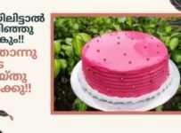 വായിലിട്ടാൽ അലിഞ്ഞു പോകും… ഈ കേക്ക് ഒന്ന് ട്രൈ ചെയ്തു നോക്കു