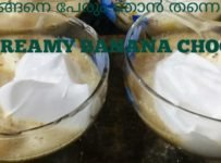 ഒരു ലോക്ക് ഡൌൺ അപാരദ || കുളമായ പരീക്ഷണം