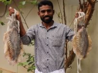 കല്ലൻ കണവ റോസ്റ്റ് ഉണ്ടാക്കിയാലോ