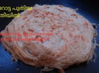 യൂട്യൂബിൽ ആദ്യമായി പൊറോട്ടയിൽ ആരും പരീക്ഷിക്കാത്ത പുതിയ രീതി