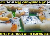 “അരിപൊടി” കൊണ്ട് പഞ്ഞിപോലെ “വെള്ള ഹൽവ” എങ്ങനെ പെട്ടന്ന് ഉണ്ടാക്കാം