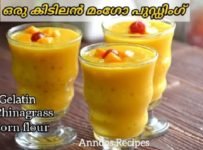 എളുപ്പത്തിൽ തയ്യാറാക്കാം കിടിലൻ മംഗോ പുഡ്ഡിംഗ്