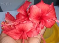 ചെമ്പരത്തി പൂവ്കൊണ്ടു കിടിലൻ ജ്യൂസ് ആണ് അടിപൊളി രുചിയിൽ ഡെയിലി ഉപയോഗിച്ചാൽ സ്കിൻ glow ചെയ്യാനും,അകാല നര,ജലദോഷം ഇതിനെല്ലാം ഉപയോഗിക്കാം