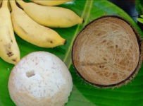 റേഷൻ കടയിൽ നിന്ന് കിട്ടുന്ന ചാക്കരി ഉപയോഗിച്ച് നല്ല മയമുള്ള ചിരട്ട പുട്ട്🥥
