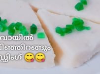 ഇച്ചിരി റവയും പാലും മാത്രം മതി വായിൽ അലിഞ്ഞിറങ്ങും പുഡ്ഡിംഗ്