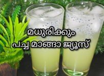 മധുരിക്കും പച്ചമാങ്ങാ ജ്യൂസ് ഒരിക്കൽ കുടിച്ചാൽ വീണ്ടും കുടിക്കാം തോന്നും