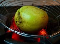 മാങ്ങ ഇങ്ങനെ ഒന്നു ചെയ്തു നോക്കൂ… കൂടെ മാങ്ങ പുഴു ഇല്ലാതെ പഴുപ്പിക്കാൻ ഉള്ള ഒരു കിടിലൻ വിദ്യ
