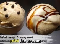 10 മിനിറ്റിൽ ഐസ്ക്രീം റെഡി . അതും ക്രീം , കണ്ടൻസ്ഡ് മിൽക്ക് , ഉപയോഗിക്കാതെ