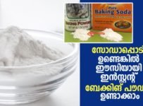 സോഡാപ്പൊടി ഉണ്ടെങ്കിൽ ഈസിയായി ഇൻസ്റ്റന്റ് ബേക്കിങ് പൗഡർ ഉണ്ടാക്കാം