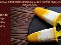കടകളിൽ കിട്ടുന്നത് പോലെ ഉള്ള മംഗോ വനില്ല ഐസ് ഈസി ആയി വീട്ടിൽ ഉണ്ടാക്കാം