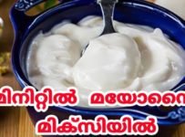 2 മിനിറ്റിൽ മിക്സിയിൽ മയോനൈസ് ഉണ്ടാക്കാം
