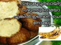 പഴം കൂടുതലായി പഴുത്തു പോയോ എങ്കിൽ ഇങ്ങനെ ചെയ്തു നോക്കു