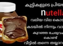 Nutella ഇനി വീട്ടിൽ തന്നെ കുറഞ്ഞ ചേരുവകൾ കൊണ്ട് തയ്യാറാക്കാം