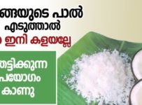 തേങ്ങയുടെ പാൽ എടുത്താൽ, പീര ഇനി കളയല്ലേ ഞെട്ടിക്കുന്ന ഉപയോഗം കാണു