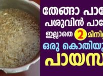 തേങ്ങാ പാലോ, പശുവിൻ പാലോ ഇല്ലാതെ 2 മിനിറ്റിൽ ഒരു കൊതിയൂറും പായസം