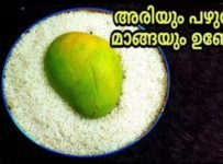 പച്ചരിയും പഴുത്ത മാങ്ങയും ഉണ്ടോ? | എങ്കിൽ ഇതൊന്നു ഉണ്ടാക്കി നോക്കൂ വീണ്ടും വീണ്ടും കഴിക്കാൻ തോന്നും