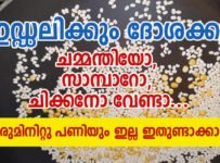 ഇഡ്ഡലിക്കും ദോശക്കും ചമ്മന്തിയോ, സാമ്പാറോ, ചിക്കനോ വേണ്ടാ… ഒരുമിനിറ്റു പണിയും ഇല്ല ഇതുണ്ടാക്കാൻ
