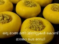 ഒരു മാങ്ങയും 3 ചേരുവകളും മതി മിനിറ്റുകൾകൊണ്ട് മാങ്കോ പേട റെഡി