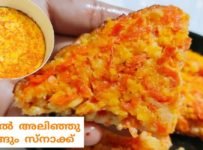 തേങ്ങയും കാരറ്റും കൊണ്ട് ഒരു ഹെൽത്ത് സ്നാക്ക്
