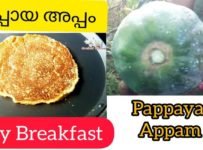 പഴുക്കാത്ത പപ്പായ ഒരെണ്ണം ഉണ്ടെങ്കിൽ വളരെ പെട്ടെന്ന് തയ്യാറാക്കാം ഈ ബ്രേക്ഫാസ്റ്റ്