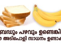 ബ്രെഡും പഴവും ഉണ്ടെങ്കിൽ ഈ അടിപൊളി സാധനം ഉണ്ടാക്കൂ