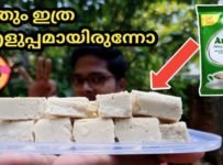 80-90 കളിലെ കുട്ടികളുടെ പ്രിയപ്പെട്ട കട്ട മിട്ടായി
