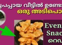 പച്ച പപ്പായ ഉണ്ടെങ്കിൽ ഇപ്പോ ഉണ്ടാക്കിക്കോ