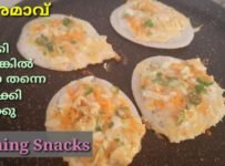 ദോശമാവ് ഉണ്ടോ, കറിഇല്ലാതെ കഴിക്കാൻ പറ്റിയ snacks റെഡി