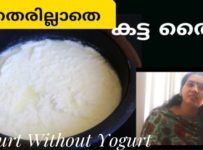 കട്ട തൈര് ഇത്ര എളുപ്പമോ