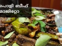 അടിപൊളി ബീഫ് മോജിറ്റോ|സോഡാ വച്ച് ഒരു ബീഫ് ഫ്രൈ||ഇനി ഫ്രൈ ഒന്ന് ഇങ്ങനെ വച്ച് നോക്കു