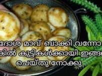 ഇഡ്ഡലിമാവ് ബാക്കി വന്നാൽ അതുപയോഗിച്ച് നല്ലൊരു നാലു മണി പലഹാരം റെഡി ആക്കാം