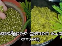 മുളപ്പിച്ച ചെറുപയർ മെഴുക്കുപുരട്ടി തയ്യാറാക്കാം