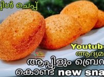 ആപ്പിൾ കൊണ്ട് ഇതുവരെ കഴിച്ചിട്ടില്ലാത്ത ഒരു snack